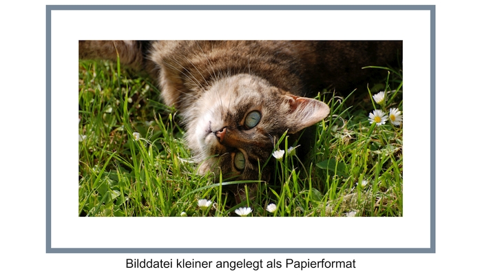 F&uuml;modus Originalgr&ouml;ße